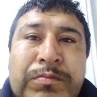 Change your avatar
