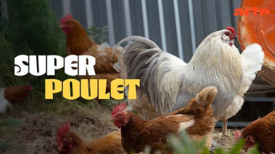 Super Poulet