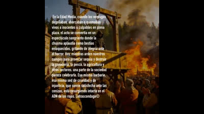 Es una aberración absoluta lo que estan haciendo y  demostrando entre todos.
