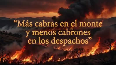 Totalmente!