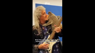 BRIAN MAY Y EL KOALA QUE CONQUISTÓ EL CORAZÓN DE TODOS