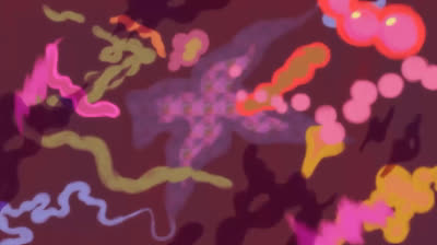 Adult Swim: The Elephant