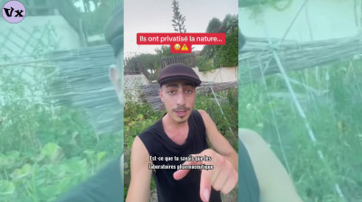 Les labos ont privatisé les plantes sauvages