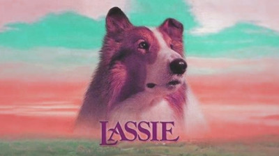 L4SSlE: A F0RÇ4 D0 C0RAÇÃ0
